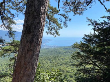 Dağdan Sea Bay 'e bak.