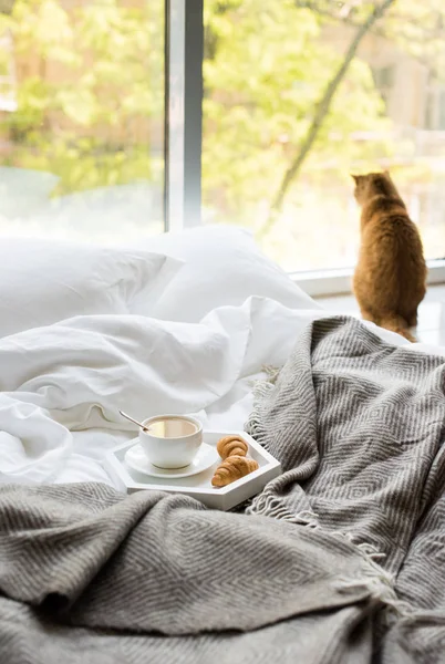 Accogliente colazione a letto, tazza di caffè e croissant su bianco e — Foto Stock