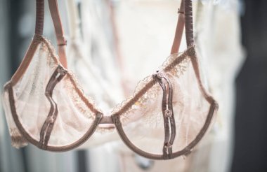 Zarif Dantelli iç çamaşırı arka ışık askı