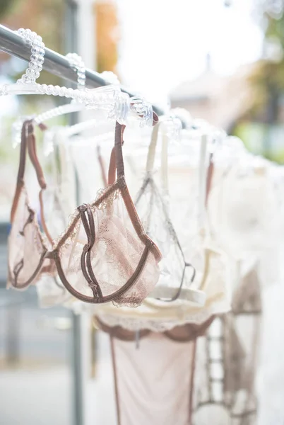 Elegant lacy lingerie on hanger in backlight — Stock Photo, Image