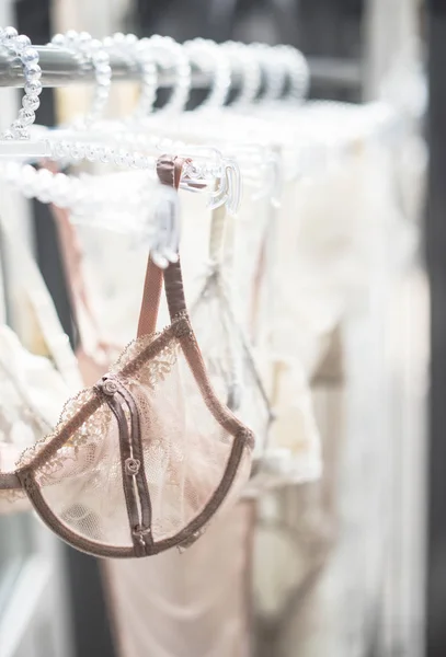 Elegant lacy lingerie on hanger in backlight — Stock Photo, Image