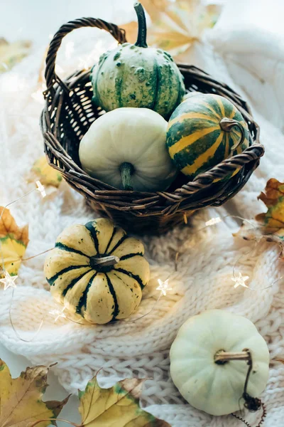 Feuilles d'automne et petites citrouilles décoratives sur la truie chaude et confortable — Photo