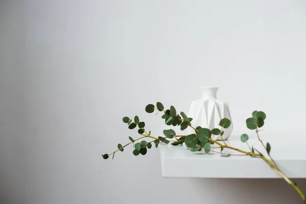 Minimalist still life, green eucalyptus branch and emty ceramic vase on white table by white wall — Stock Photo, Image