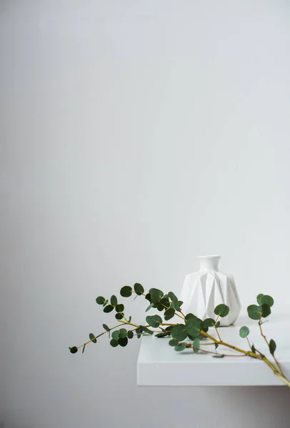 Nature morte minimaliste, branche d'eucalyptus vert et vase en céramique emty sur table blanche par mur blanc — Photo