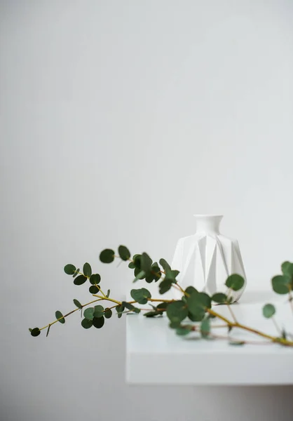 Bodegón minimalista, rama de eucalipto verde y jarrón de cerámica emty en mesa blanca por pared blanca —  Fotos de Stock
