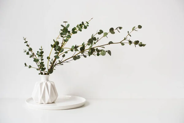 Branches d'eucalyptus dans un vase en céramique blanche sur fond de mur vide — Photo