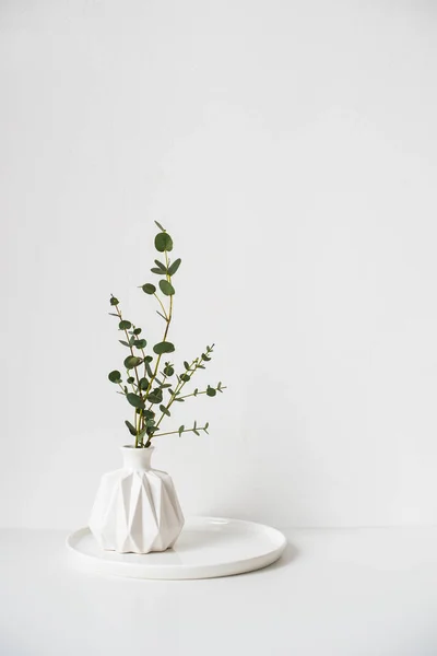 Ramas de eucalipto en jarrón de cerámica blanca sobre fondo de pared vacío —  Fotos de Stock
