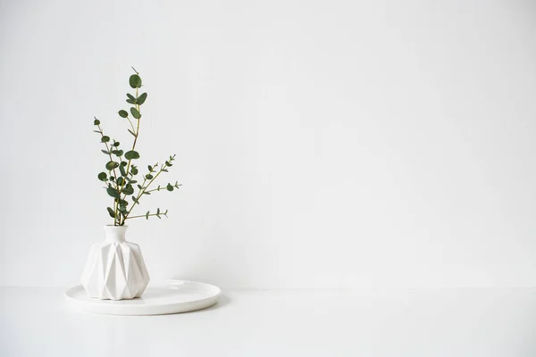 Eucalyptus branches in white ceramic vase on empty wall background — Stock Photo, Image