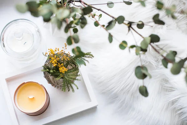 Decoração de bandeja interior com vela ardente, flores mimosa e galhos — Fotografia de Stock