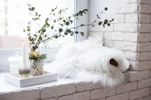 Decoración de bandeja interior con vela encendida, flores mimosas y ramas — Foto de Stock