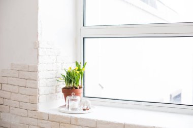 Bahar pencere üzerinde sarı nergis ile ev dekorasyonu 