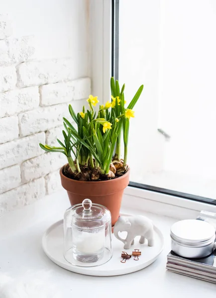 Decoración casera de primavera con narcisos amarillos en el alféizar de la ventana —  Fotos de Stock