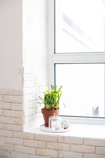 Springtime home decor with yellow daffodils on windowsill