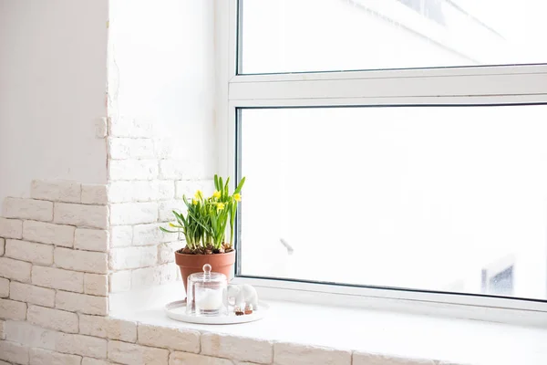 Decoración casera de primavera con narcisos amarillos en el alféizar de la ventana — Foto de Stock