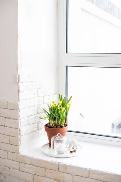 Decoração de casa de primavera com narcisos amarelos no peitoril da janela — Fotografia de Stock