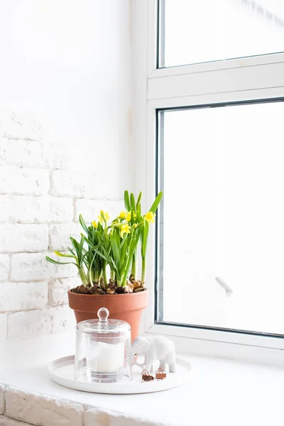 Lente home decor met gele narcissen op de vensterbank — Stockfoto