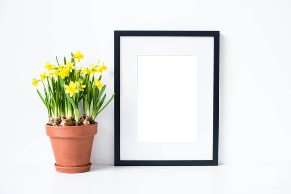 Springtime home decor with yellow daffodil flowers and frame isolated mock-up — Stock Photo, Image