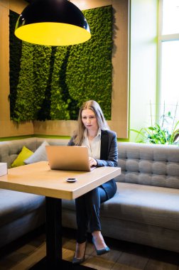 Şehir merkezindeki kafede dizüstü bilgisayarla çalışan genç bir iş kadını.