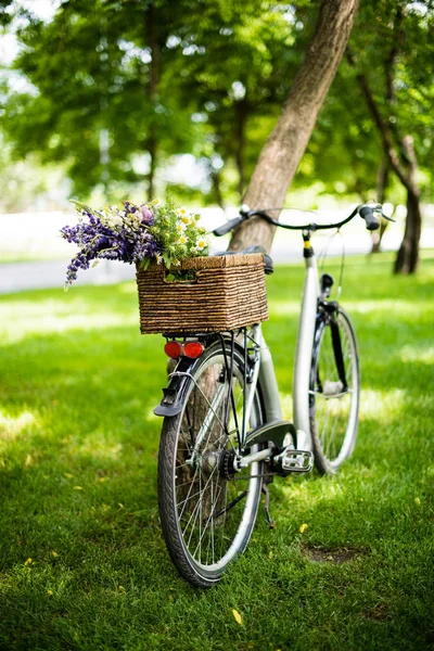 Nieuwe stadsfiets met boeket bloemen in rieten mand — Stockfoto