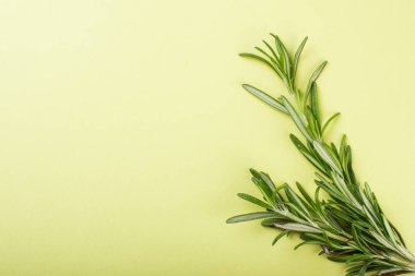 Yeşil arka plan üzerinde biberiye Sprig, stüdyo çekim