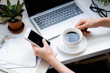 Kadınlar rahat ofiste ellerinde kahve ve akıllı telefonlar, dizüstü bilgisayarlar ve yeşil bitkilerle.