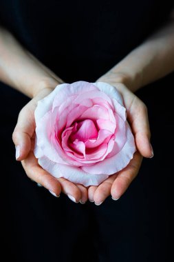 Siyah arka planda gül çiçeğini tutan kadınların elleri