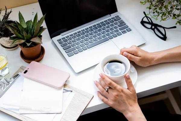 Kadınların elleri rahat ofiste, ellerinde laptoplu ve yeşil bitkilerle bir fincan kahve tutuyor. — Stok fotoğraf