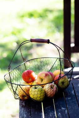 Bahçe masasındaki metal sepetin içinde sonbahar elmaları topladım.