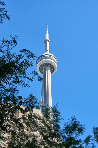 Toronto Canadá Julio 2018 Vista Panorámica Tower Toronto Ontario Canadá — Foto de Stock