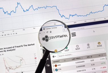 Cryptopia kriptopara değişim sitesi