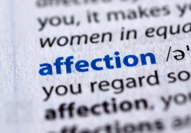 sözlükte yüksek ışıklı kelime