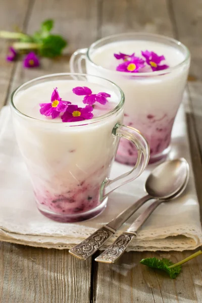 Yogurt Con Marmellata Lamponi — Foto Stock