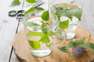 Melissa demlemek su içinde gözlük