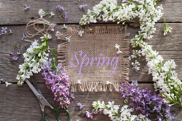 Våren Bakgrund Med Lila — Stockfoto
