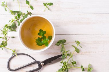 Taze Kekik çayı cam