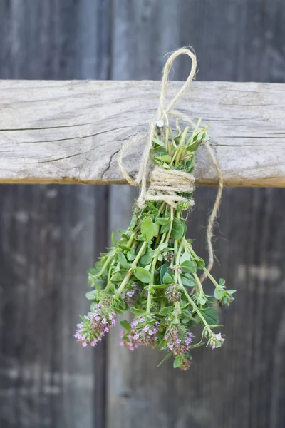 Frisch Geernteter Thymian Hängt Und Trocknet — Stockfoto