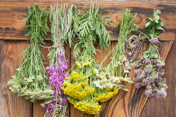 Herbes Accrocher Sécher Sur Fond Bois — Photo