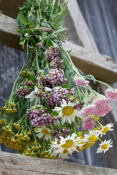 Bouquet Herbes Accrocher Pour Sécher — Photo