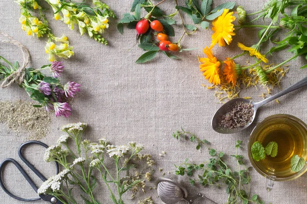 Herbes Curatives Fraîches Sèches Sur Tissu — Photo