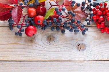 Böğürtlen, elma ve yapraklarla sonbahar arkaplanı