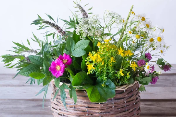 Healing Herbs Basket Wooden Background — Stock Photo, Image