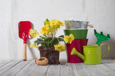 Bahçe aletleri ve çiçekler.