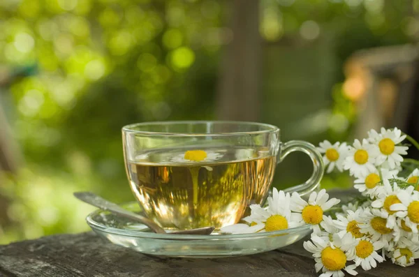 Ромашковий Чай Склянці — стокове фото