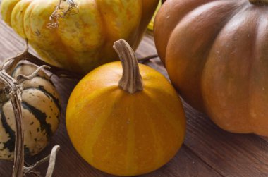 Tahta masadaki balkabağı