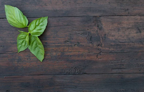 koyu ahşap zemin üzerine Yeşil fesleğen