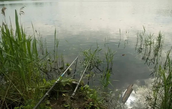 Varas Pesca Rio — Fotografia de Stock