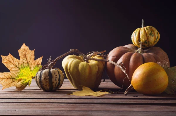 Art Autumn Pumpkin Thanksgiving Background — Stock Photo, Image