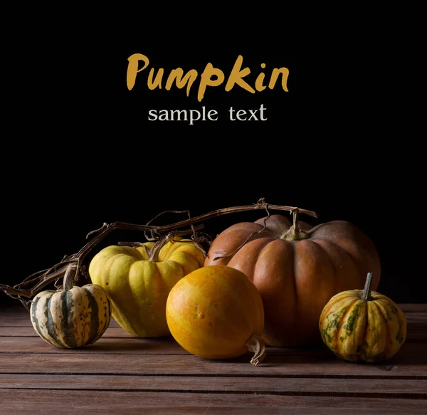 Művészet Őszi Hálaadás Pumpkin Háttér — Stock Fotó