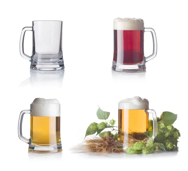 Glass Fresh Beer Green Hops — Stock Photo, Image