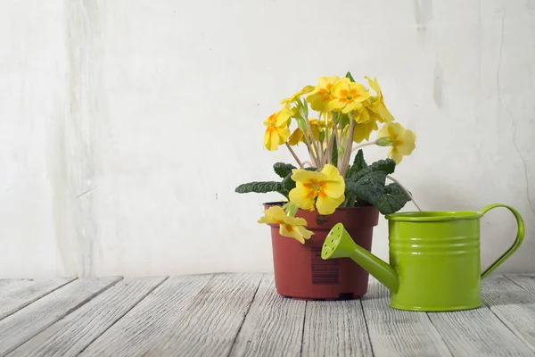 Gartengeräte Und Blumen Auf Einem Holztisch — Stockfoto